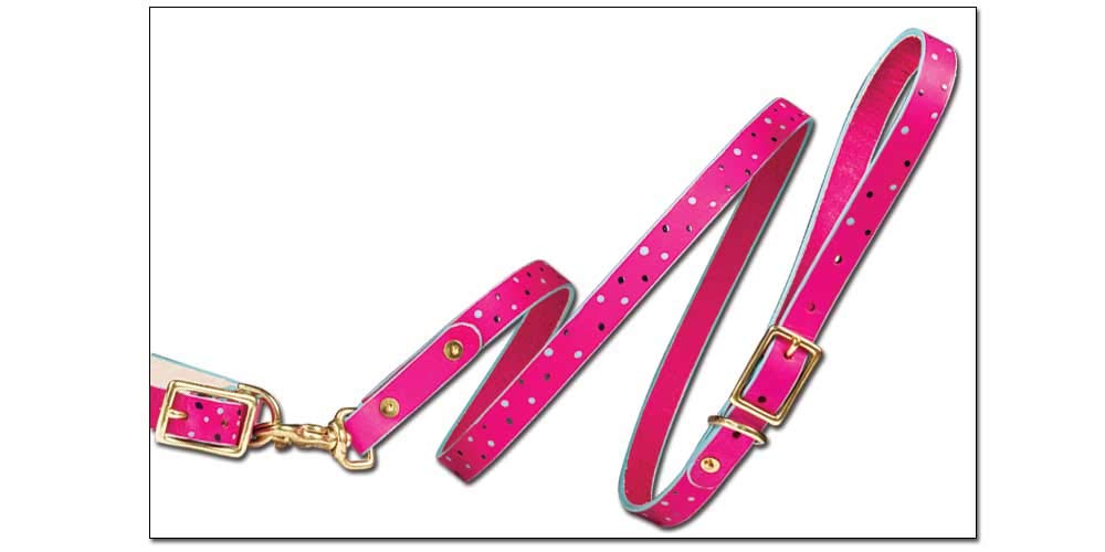 Premium Dog Leash Kit with Reflective Stitching - Strong Nylon Leash & Comfortable Handle for Small, Medium & Large Dogs - Perfect for Walking, Running & Outdoor Adventures
