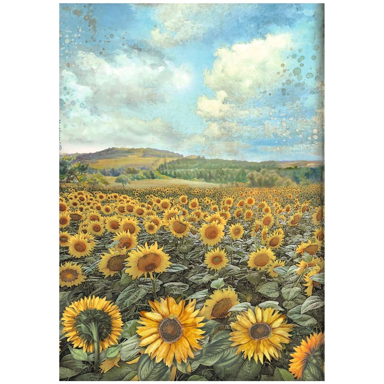 Stamperia A4 Decoupage Rice Paper - Sunflower Art Landscape Design for Scrapbooking & Card Making (DFSA4770) | Perfect for DIY Crafts, Home Decor, and Gift Wrapping