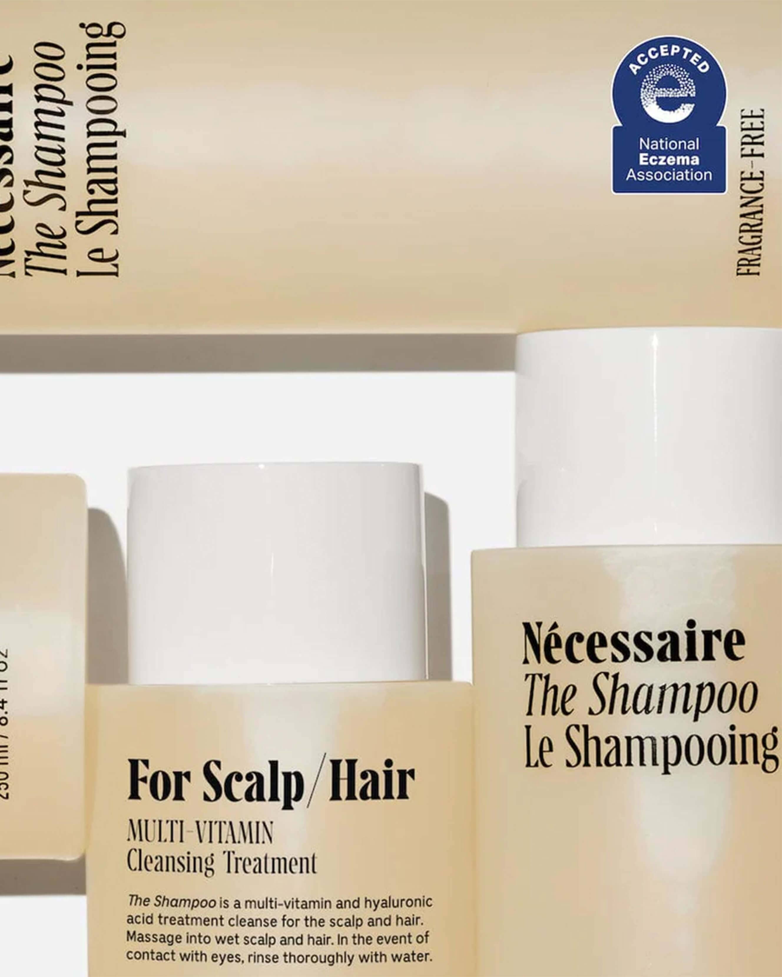 Hyaluronic Acid Balancing Shampoo for Dry & Damaged Hair - Hydrating & Repairing Scalp Care for Daily Use at Home or Salon