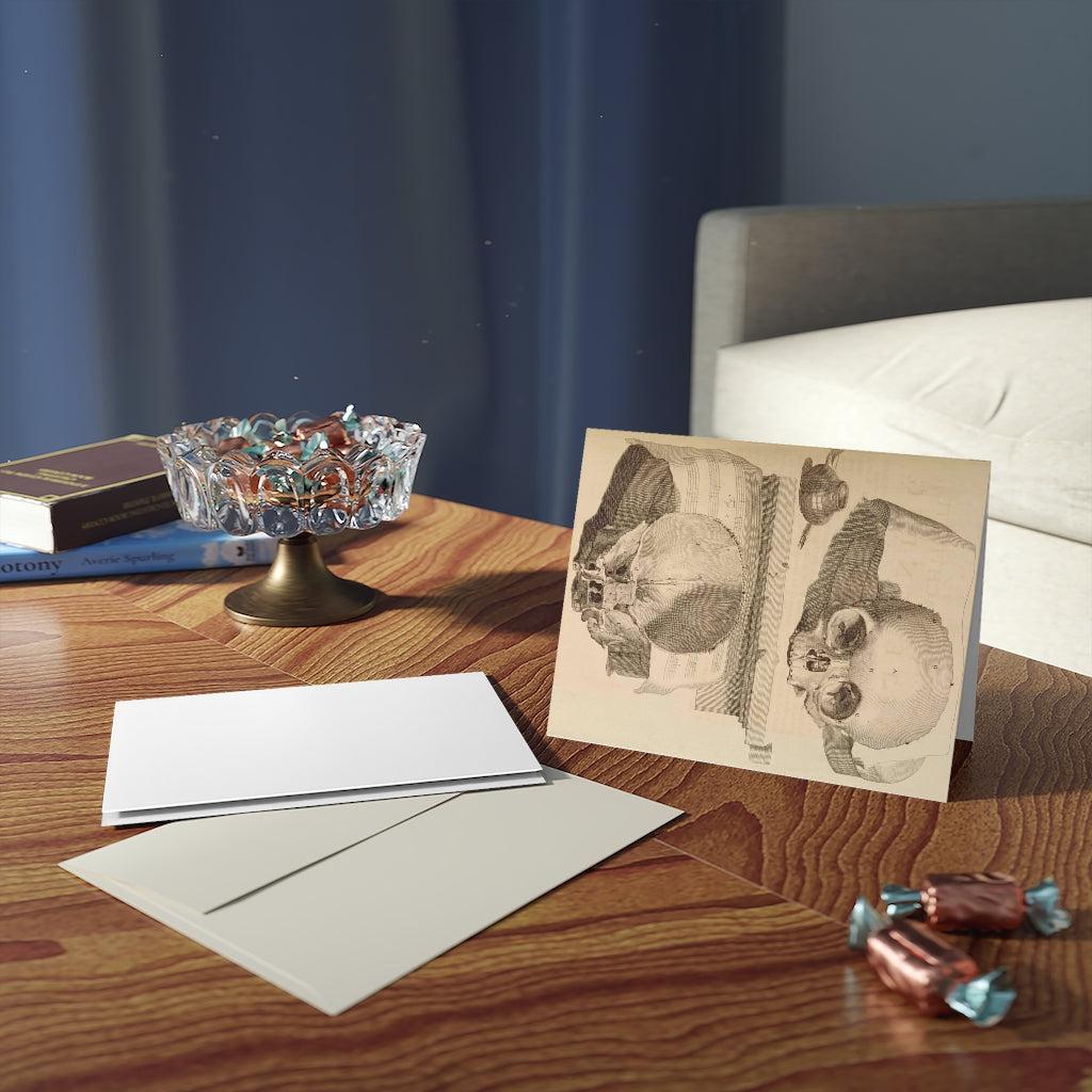 Bisected Human Skull Greeting Card Pack - 12 Unique Halloween Cards with Anatomical Design - Perfect for Halloween Parties, Medical Student Gifts & Dark Humor Enthusiasts