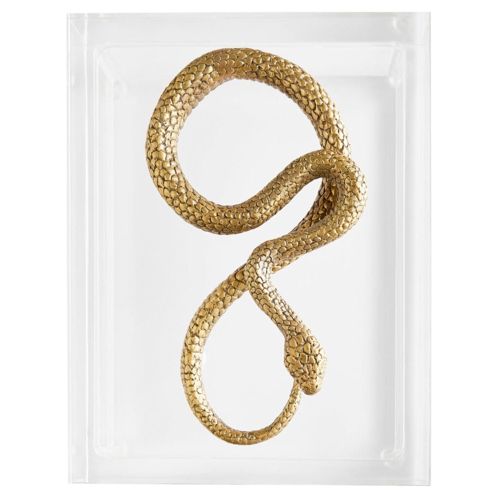 Cyan Design 11763 Snake Box - Clear Glass & Brass Jewelry Storage for Necklaces, Rings & Earrings - Perfect for Vanity, Dresser & Bathroom Organizer