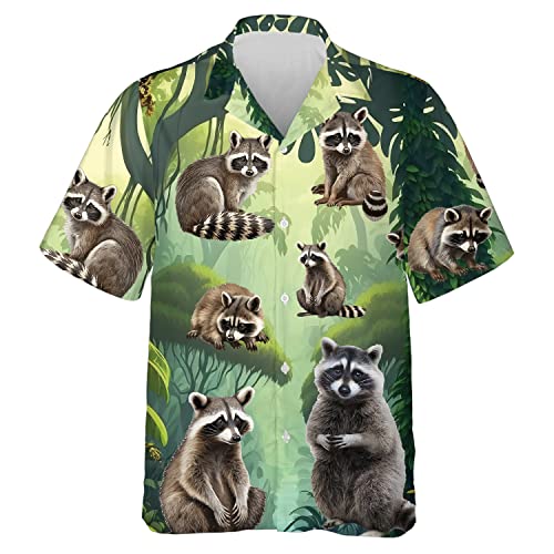 Raccoon-25