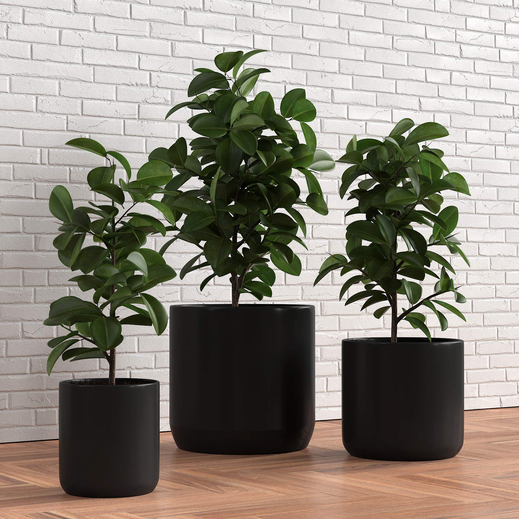 Shprout Set of 3 Licorice Black Ceramic Planters - 6