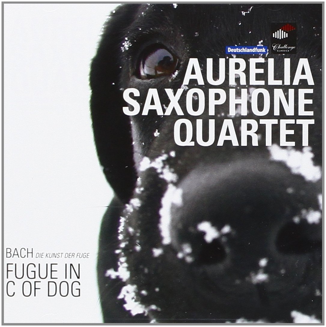 Fugue in C of Dog - Classical Music for Dogs | Calming & Relaxing Pet Therapy | Perfect for Anxious Pets & Home Relaxation