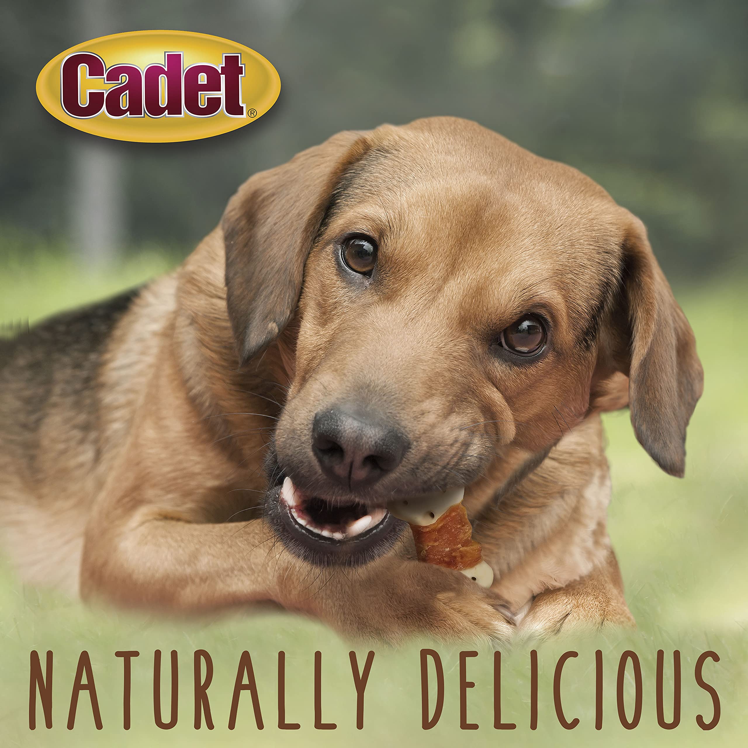 Cadet Gourmet Chicken Wrapped Biscuit Dog Treats - Healthy Training Snacks for Small & Large Breed Dogs - USA Inspected & Tested - 14 oz Bag - Perfect for Obedience Training & Reward-Based Learning