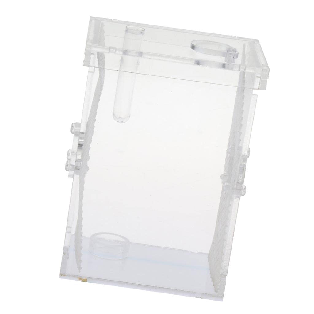 Premium Small Reptile Feeding Box - Ideal for Mantis, Centipede, Spider & Insect Pets | Escape-Proof Enclosure for Feeding & Observation | Perfect for Pet Owners & Breeders