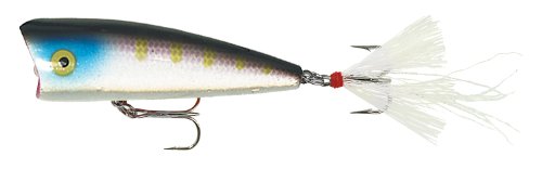 Purple Shad