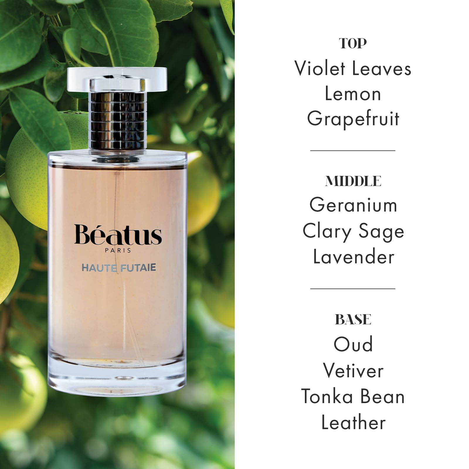 Beatus Paris Haute Futaie Men's Luxury Cologne - Long Lasting Fragrance with Grapefruit, Lavender, Leather & Oud Notes - 3.4 oz Eau de Parfum - Perfect for Date Night, Office & Special Occasions