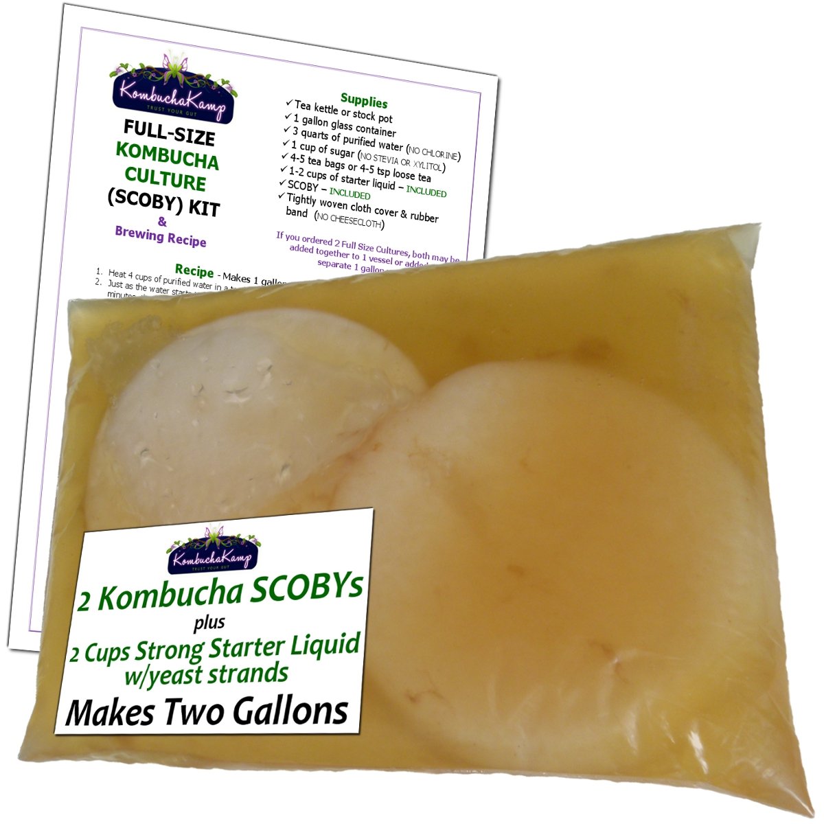 Organic Kombucha Mushroom Kit with 2 SCOBYs & Starter Liquid - Complete DIY Brewing Guide for Home Fermentation - Perfect for Healthy Gut & Probiotic Drinks