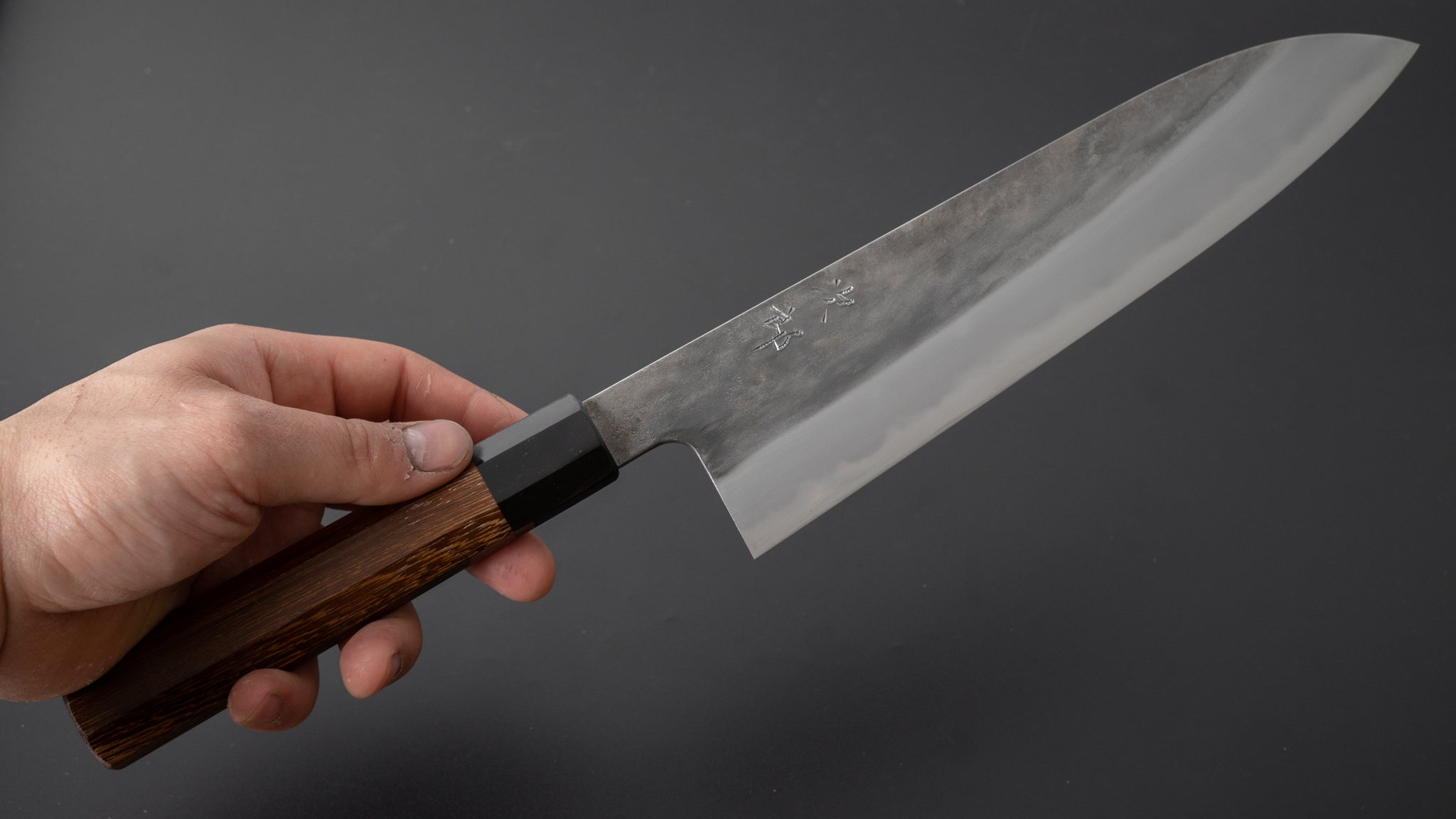 Premium Jiro Tsuchime Wa Gyuto 225mm Japanese Chef Knife with Taihei Tagayasan Handle - Perfect for Sushi, Meat Cutting & Professional Kitchen Use (#369)