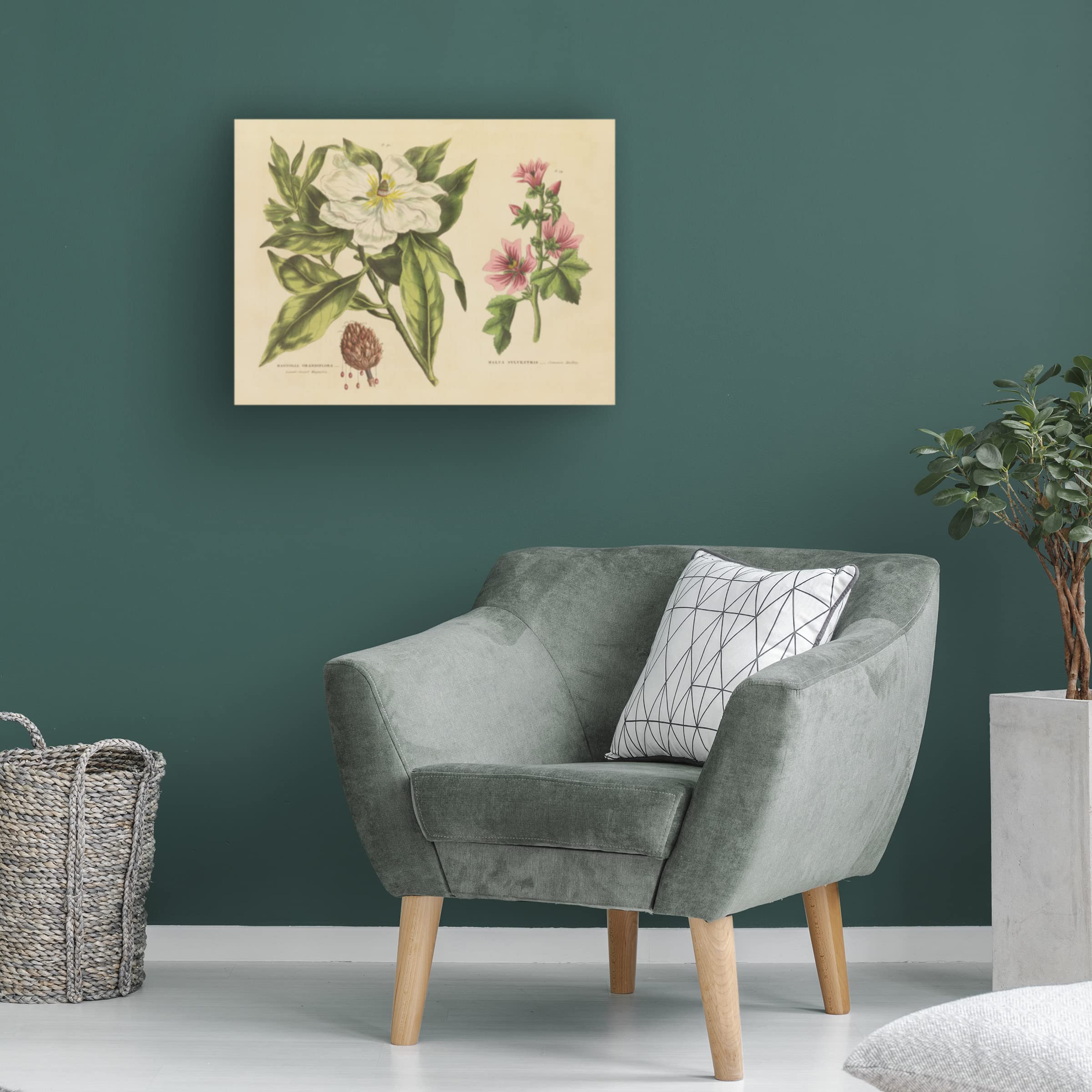Trademark Fine Art 'Morning Glow' Canvas Wall Art Print by Farida Zaman - Perfect for Living Room, Bedroom & Office Decor