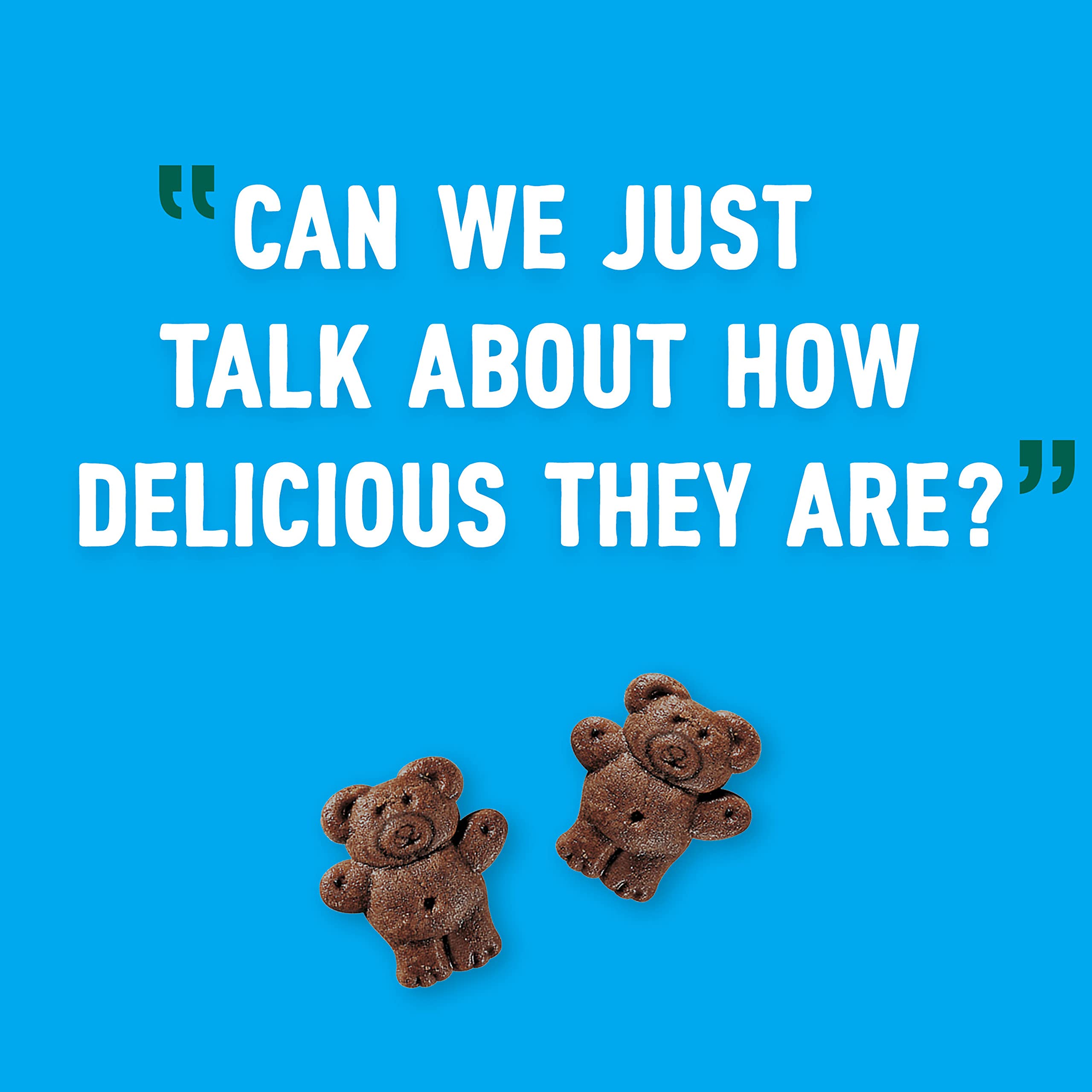 Teddy Grahams Chocolate Graham Snacks - 6 Pack (10 oz Each) | Crunchy Honey Graham Cookies for Kids Lunch, School Snacks & Family Movie Night Treats