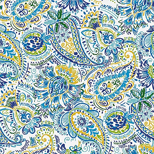 Paisley Blue