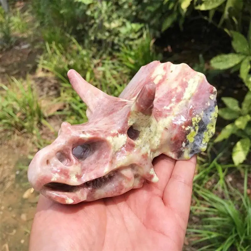 13CM Natural Peach Blossom Tourmaline Dinosaur Skull Crystal Carving - Healing Stone, Fashion Jewelry & Home Decor - Unique Birthday Gift for Collectors (1 Piece) - Perfect for Meditation, Feng Shui & Gothic Decor