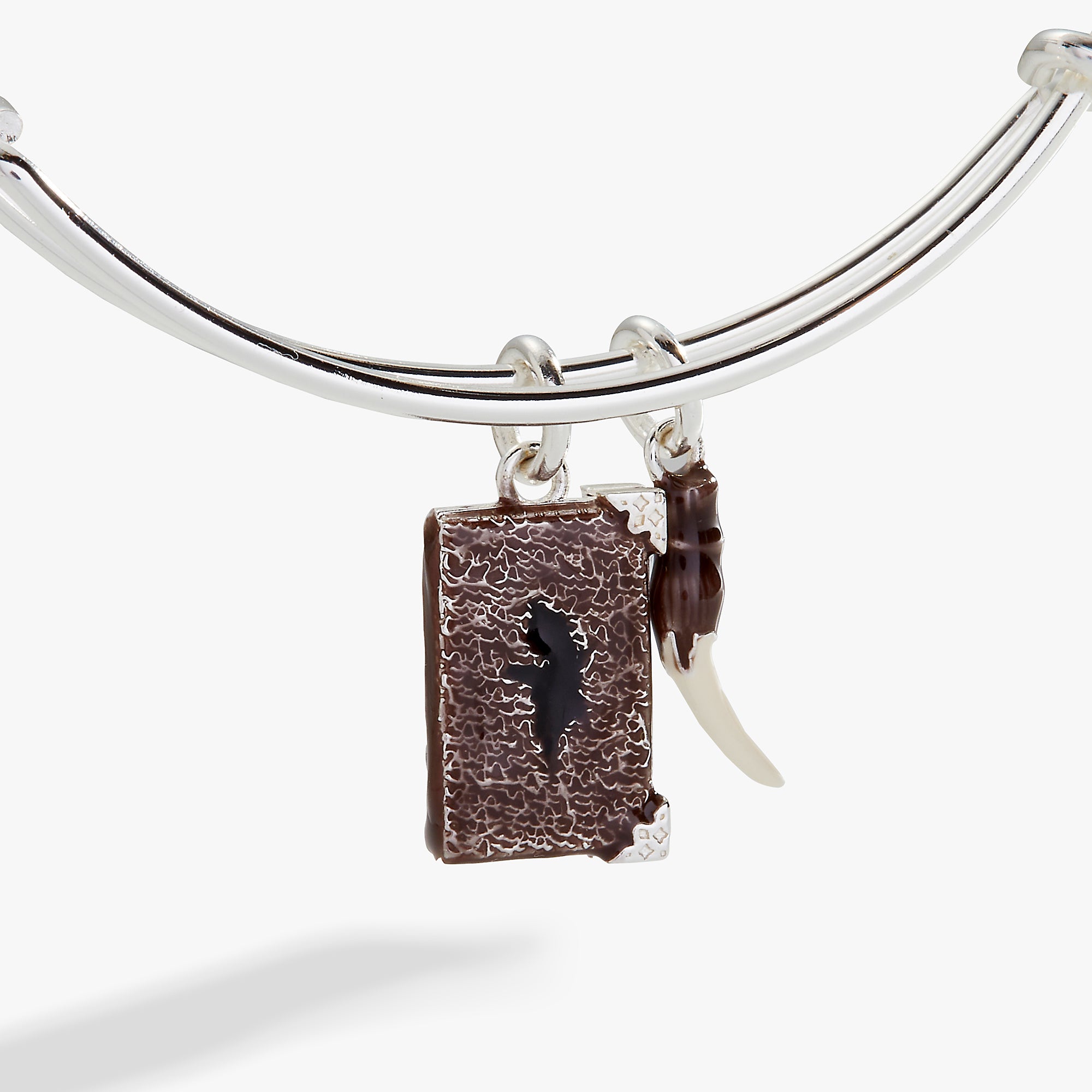 Harry Potter™ Diary and Basilisk Fang Bangle - Official Wizarding World Collectible - Perfect for Cosplay, Halloween Costumes, and Harry Potter Fans