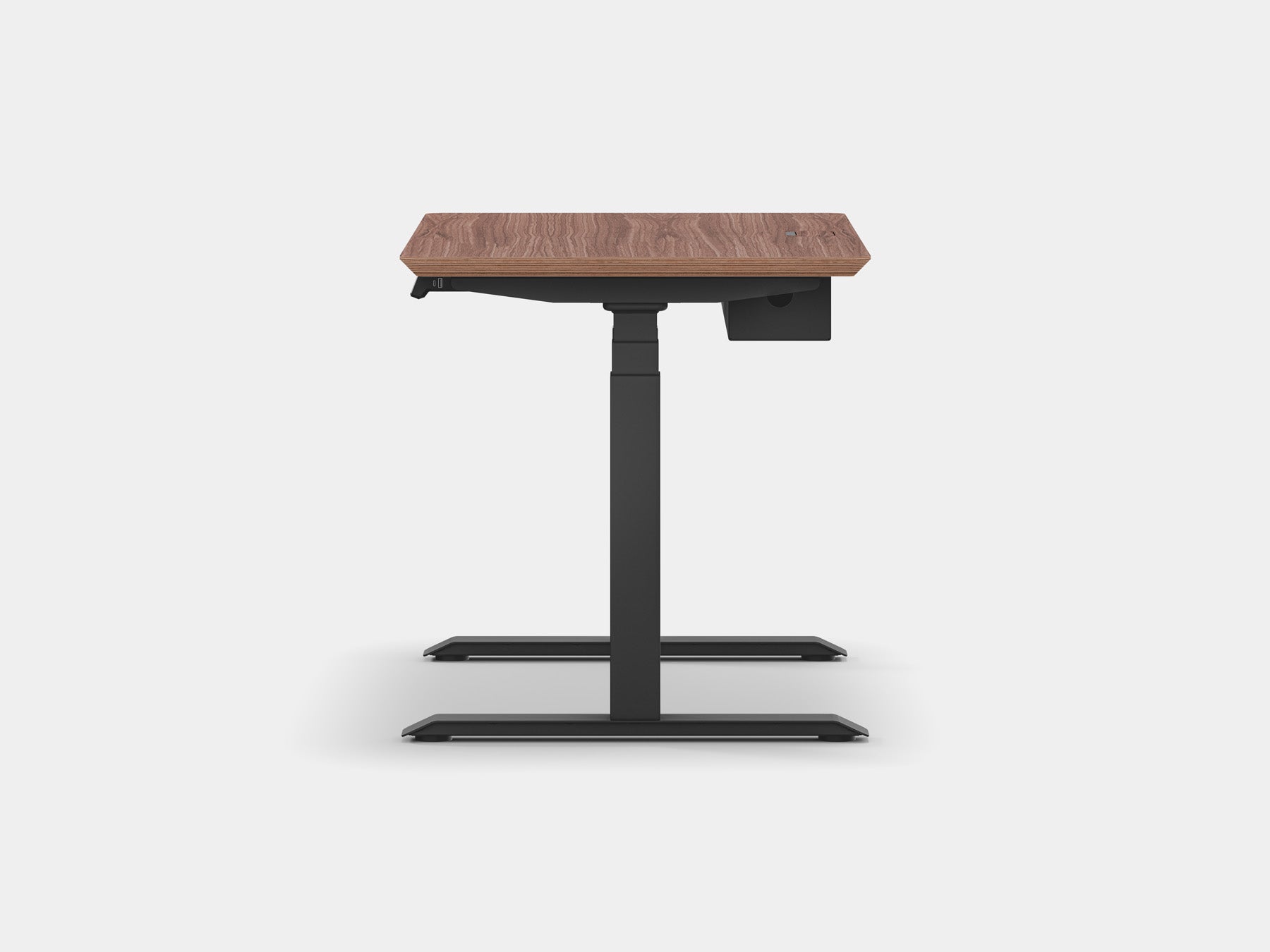 Walnut veneer