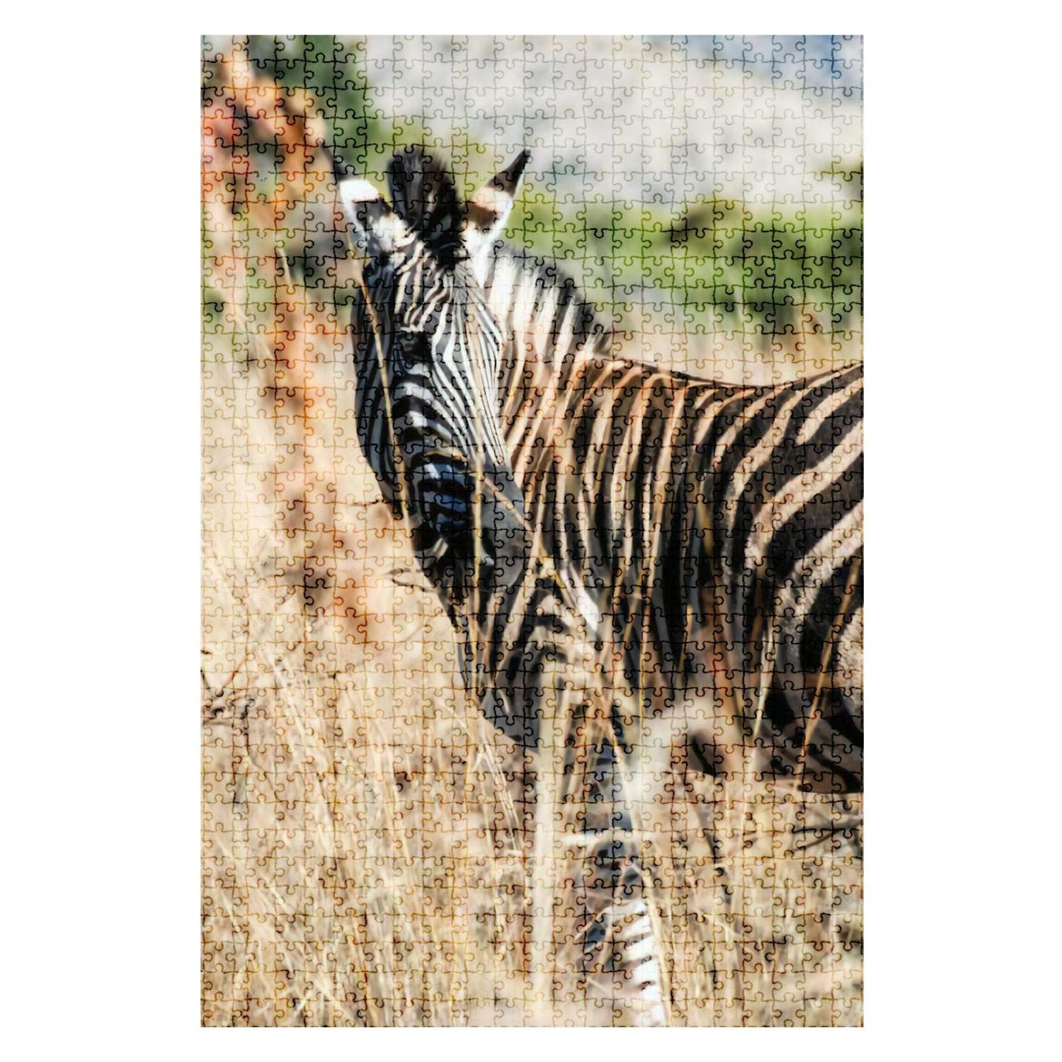 1000 Pieces Wooden Jigsaw Puzzle - Kruger National Park Zebra Portrait, Fun & Challenging DIY Board Game for Adults & Kids, Educational Toy & Home Decor (Perfect for Family Game Nights & Stress Relief)
