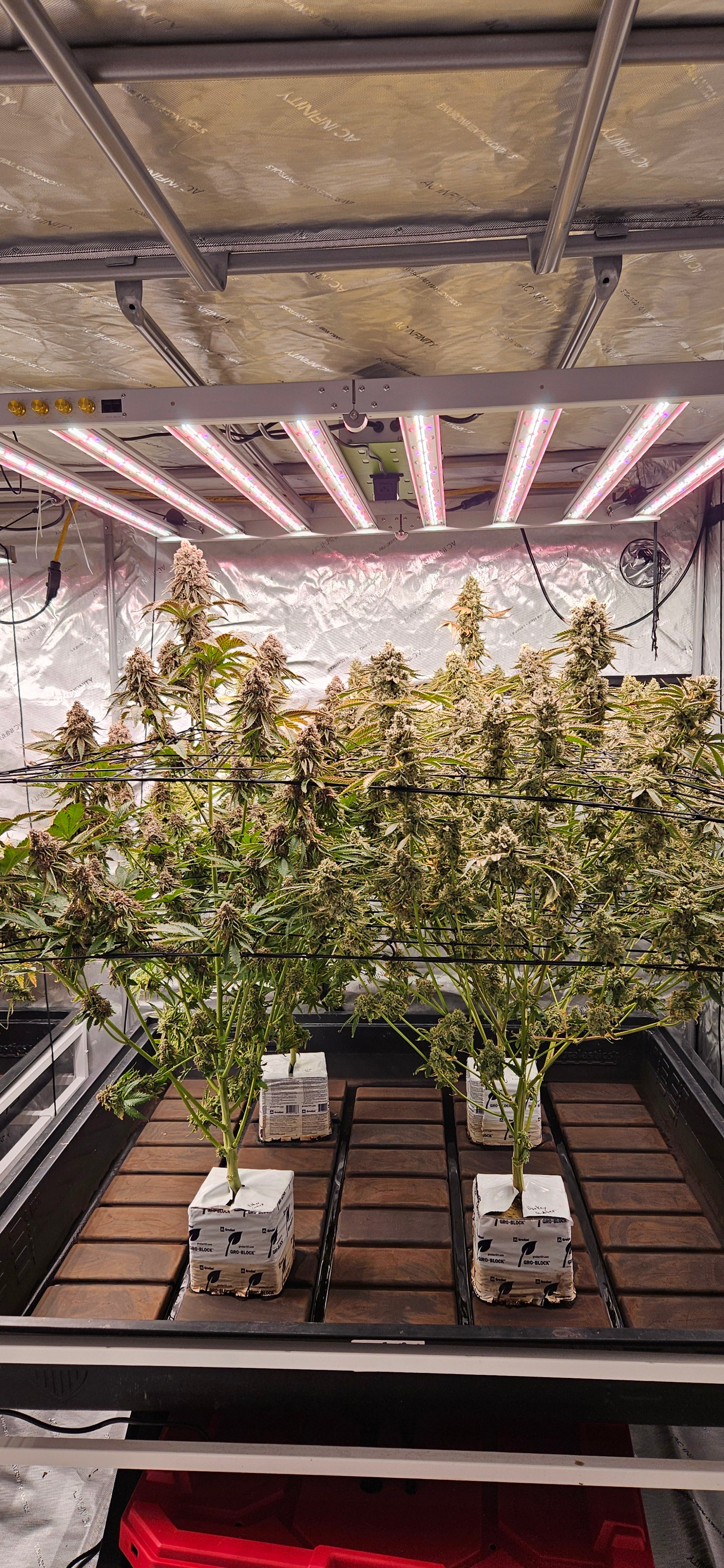 TotalGrow Solark KC 900W Full Spectrum LED Grow Light with 4-Channel Control - Ideal for Indoor Plants, Hydroponics & Greenhouse Cultivation
