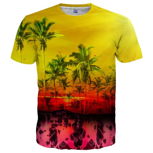 Ct-coconut Tree