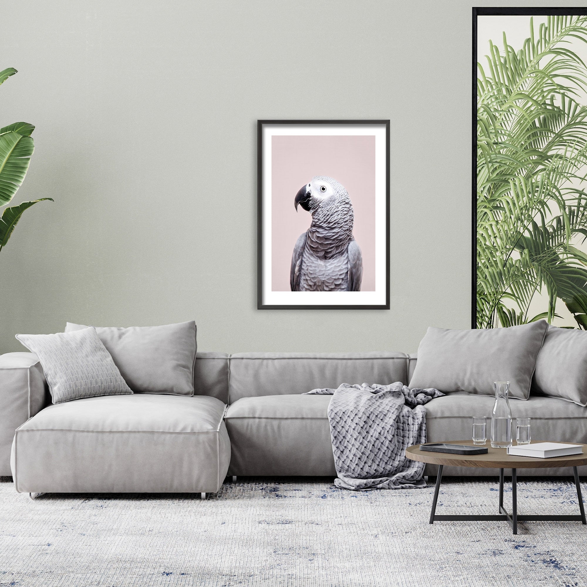 African Grey Parrot Framed Wall Art Print by Kathrin Pienaar - Tropical Bird Decor for Living Room, Bedroom & Office