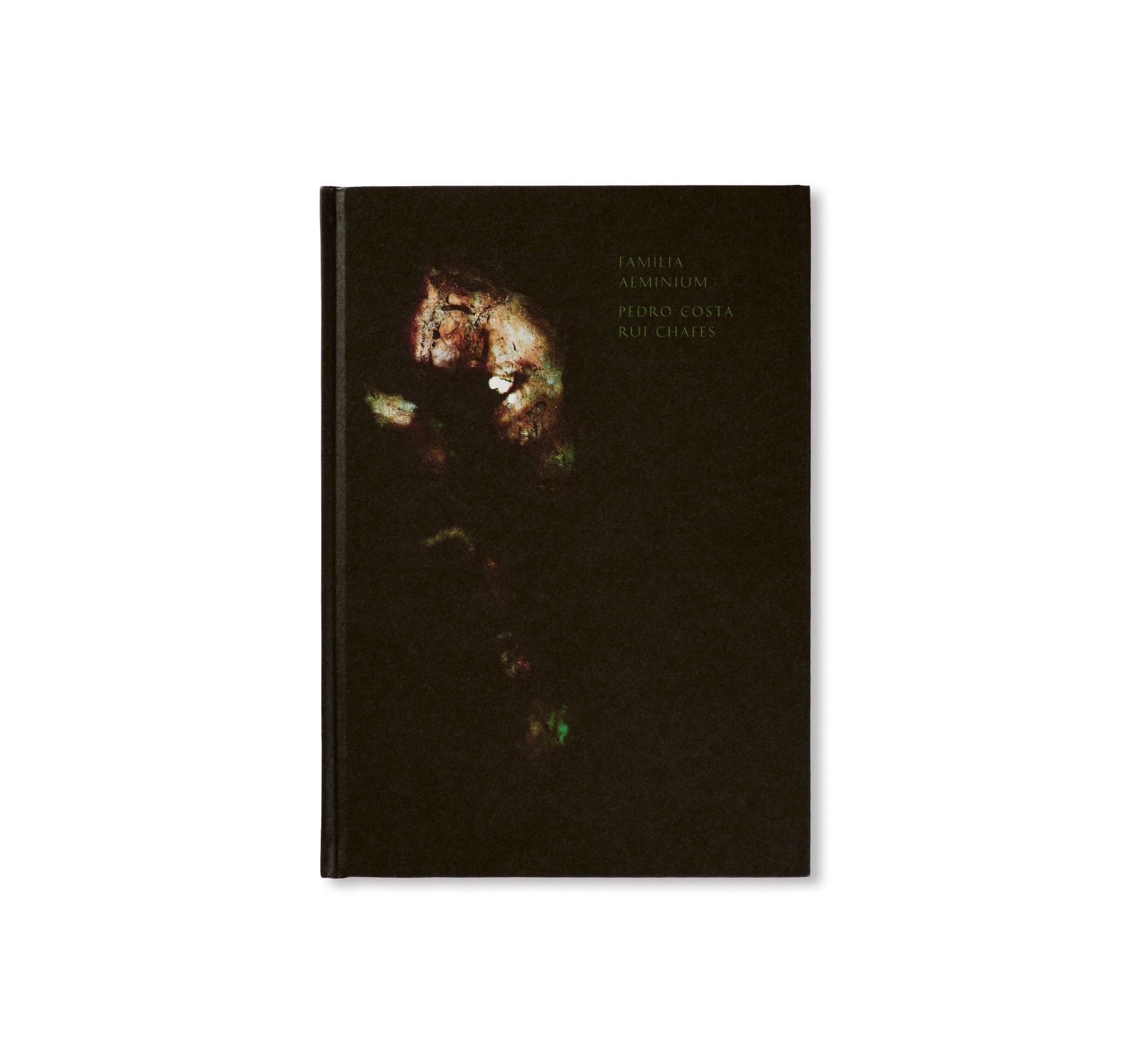 FAMILIA AEMINIUM Art Book by Pedro Costa & Rui Chafes - Contemporary Portuguese Art Collection - Perfect for Art Lovers, Collectors, and Home Decor