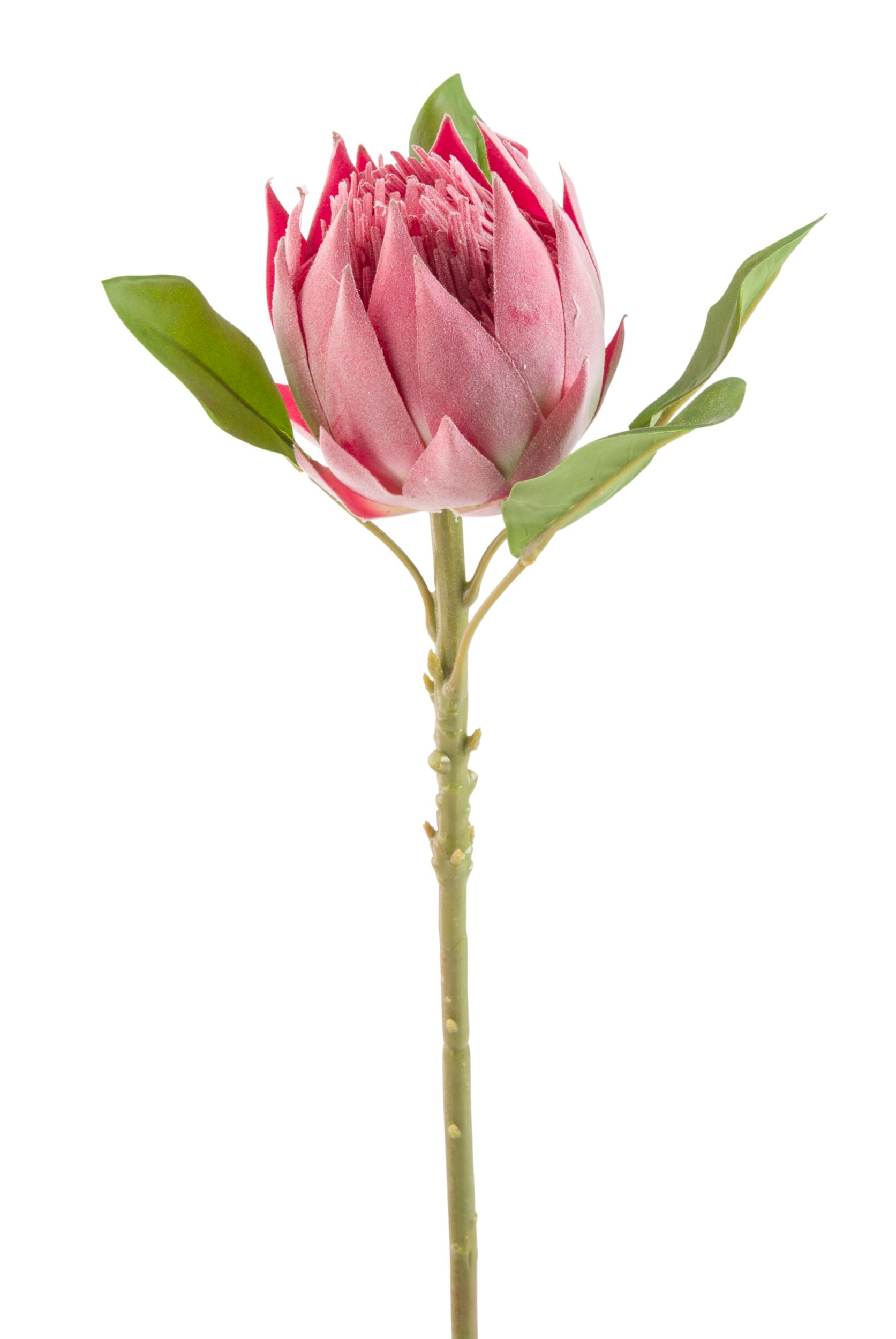Premium 97cm Blume Protea Stem - Artificial Silk Flower for Home Decor, Wedding Bouquets & Floral Arrangements