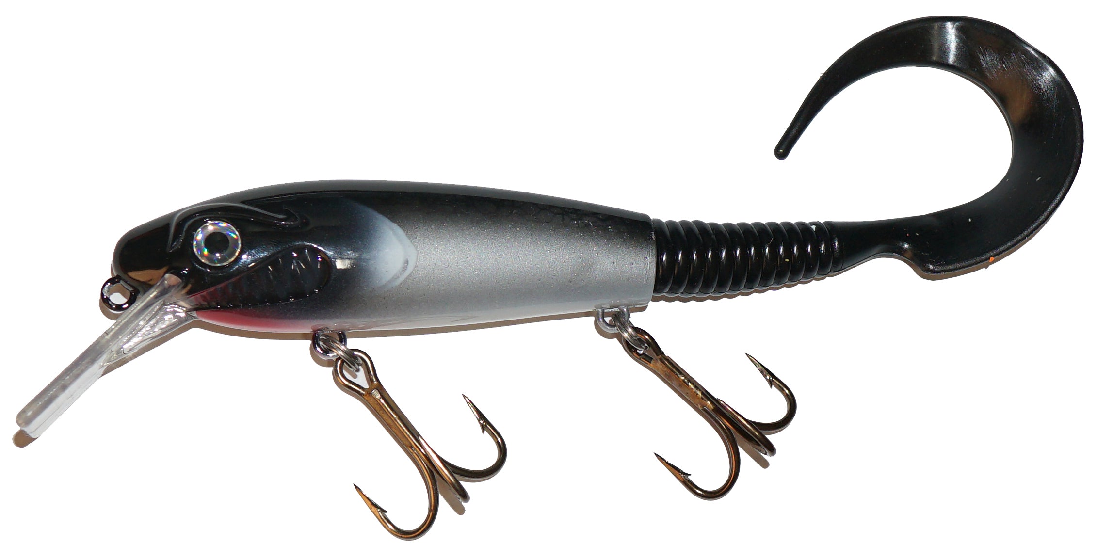Tenn. Shad