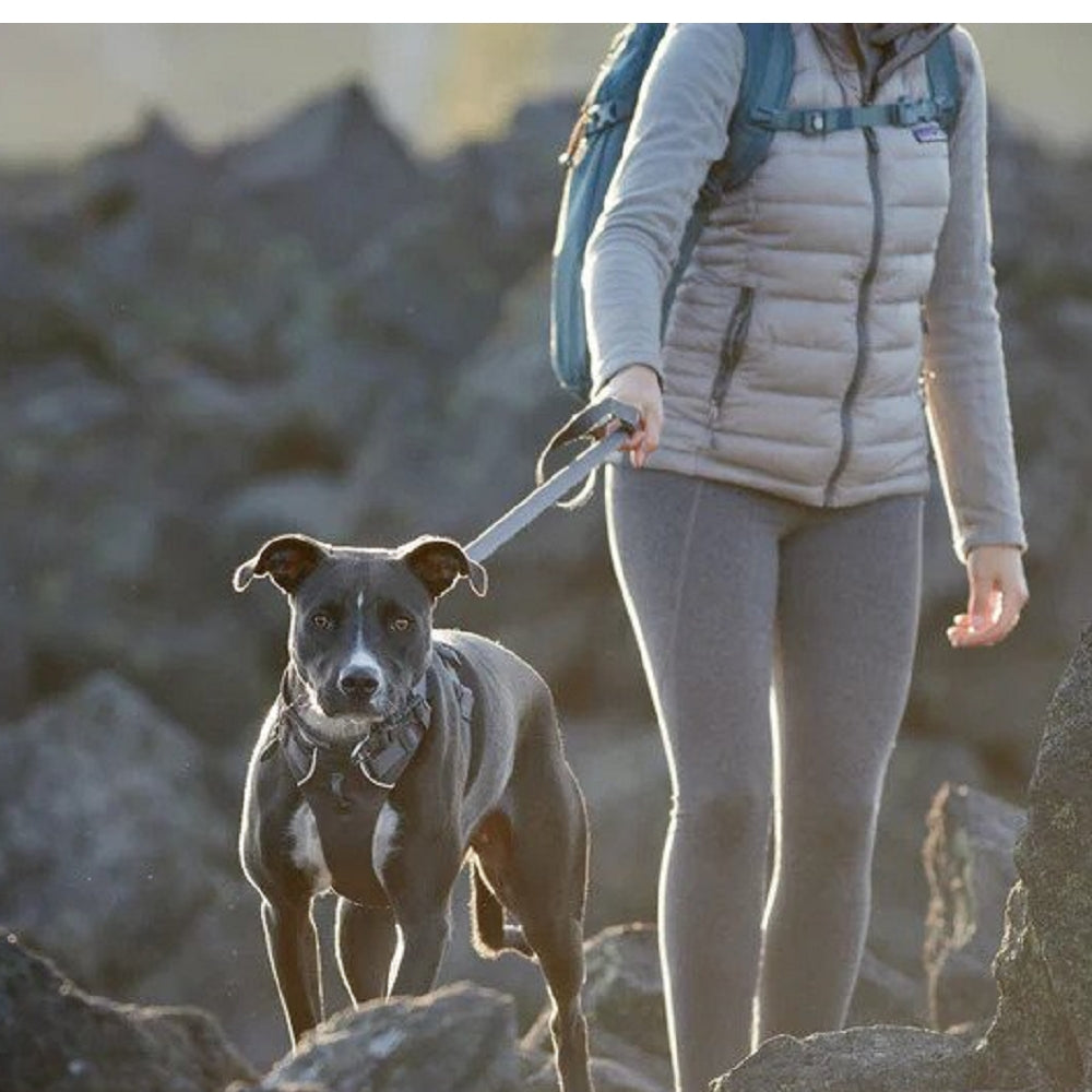 Premium Front Range Dog Leash - Durable Nylon Reflective Pet Walking Lead for Small Medium Large Dogs - Perfect for Hiking, Jogging & Daily Walks