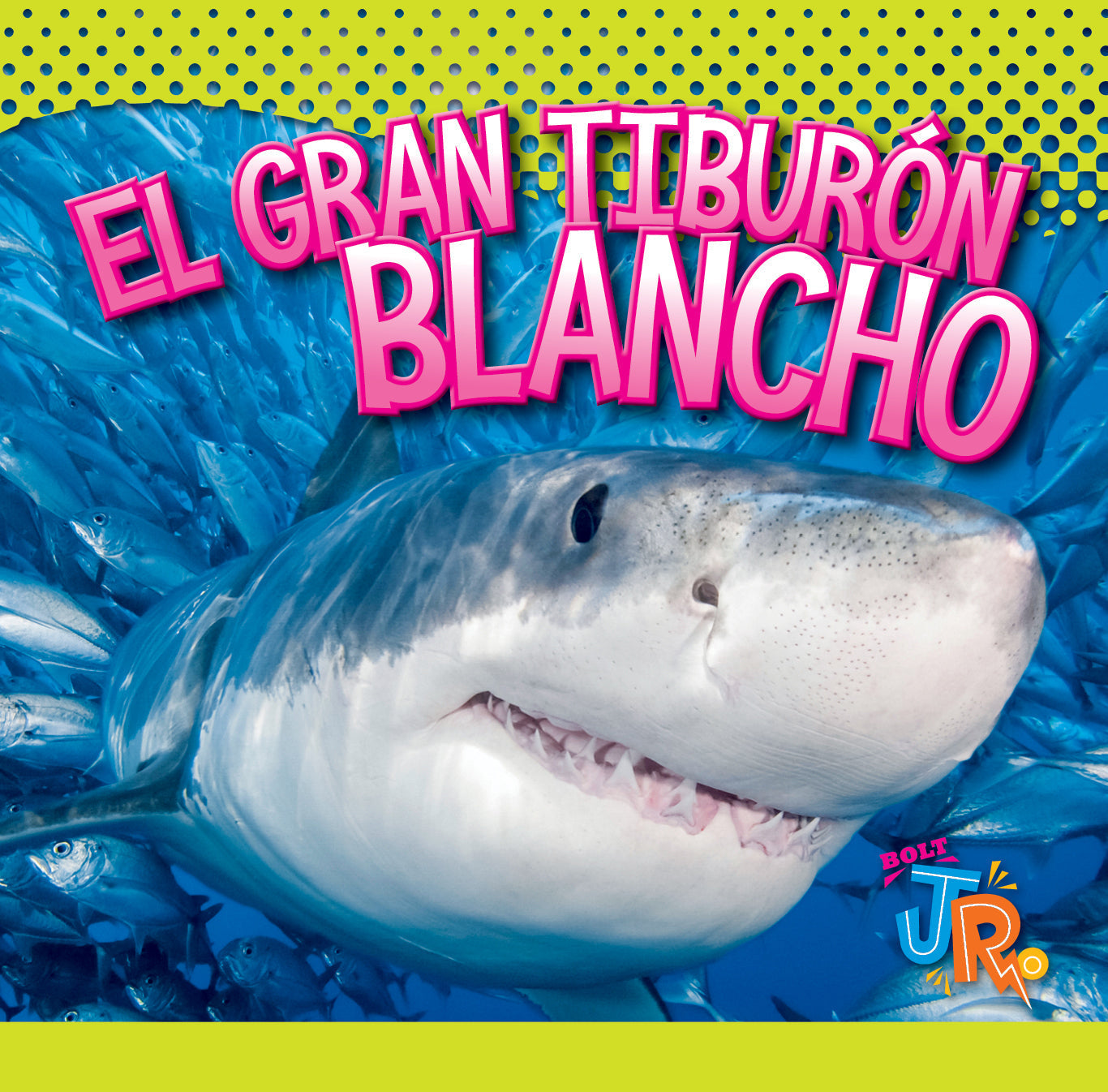 Great White Shark Toy - Realistic Detailed Figure for Kids & Collectors - Perfect for Ocean-Themed Play, Educational Learning & Home Decor