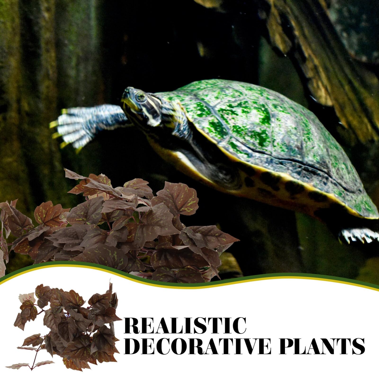 POPETPOP Glass Terrarium Container for Plants & Reptiles - Hanging Habitat with Suction Cups for Turtles, Bearded Dragons, Hermit Crabs, Lizards, Geckos & Snakes - Perfect for Home Decor, Office Plants & Reptile Enclosures