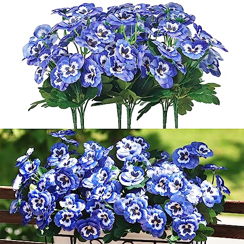 Blue Pansy