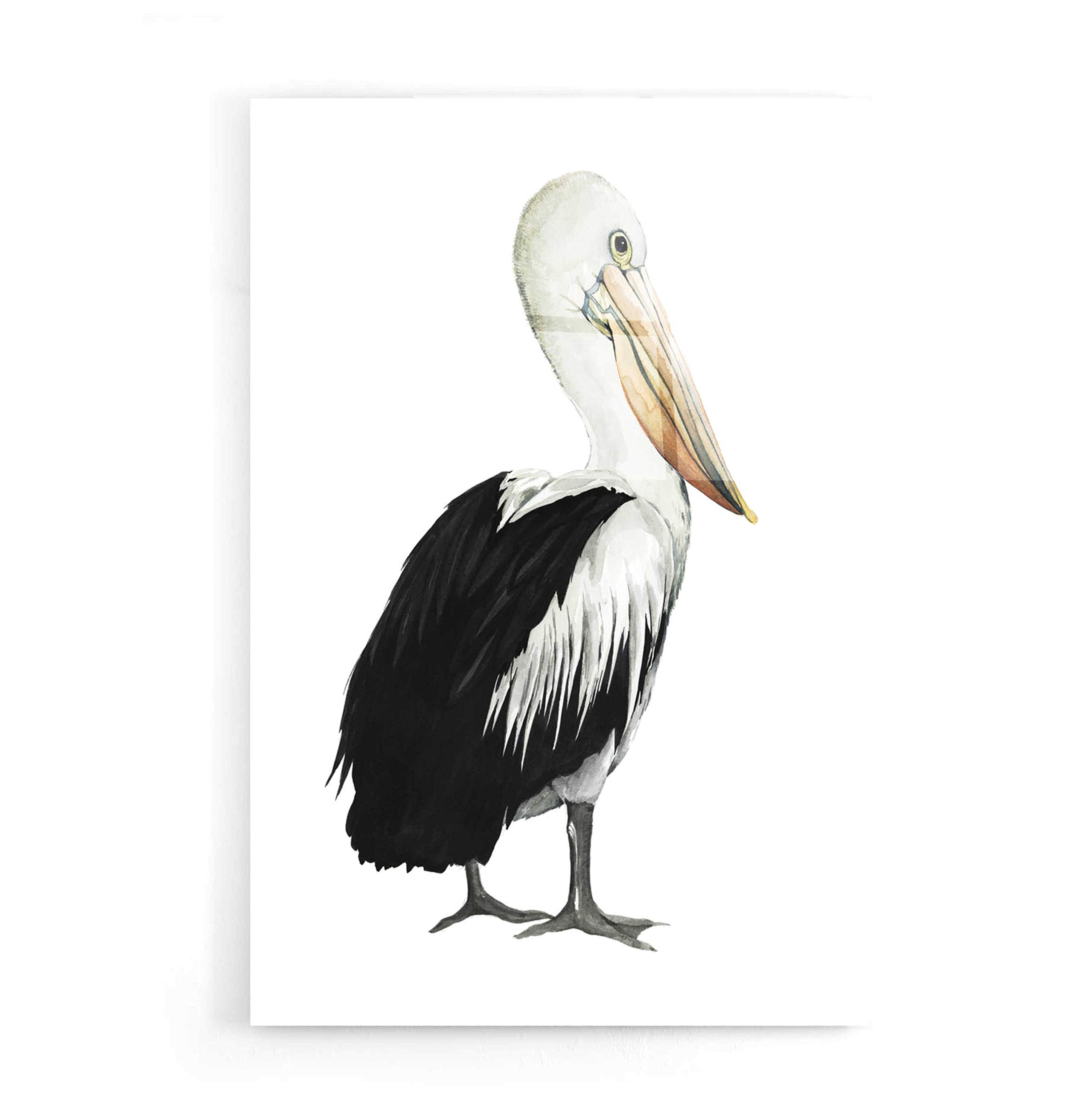 Grace Popp 'Sea Bird IV' Acrylic Glass Wall Art - 16x24 Inches Modern Ocean Painting for Living Room, Bedroom & Office Decor