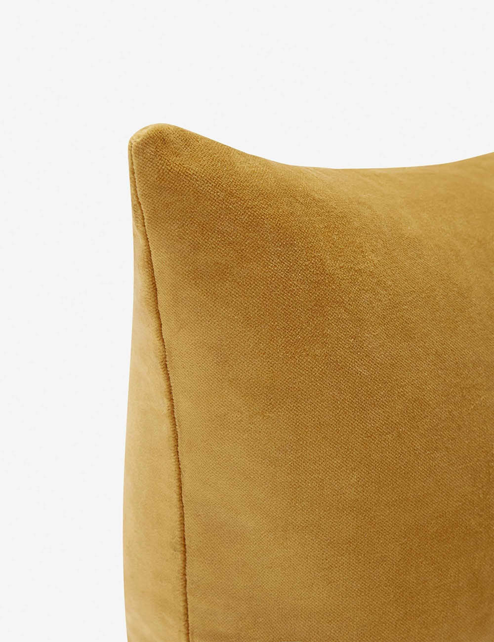 Charlotte Velvet Pillow - Soft Luxury Decorative Throw Pillow for Sofa, Bed & Couch - Perfect for Living Room, Bedroom & Home Decor