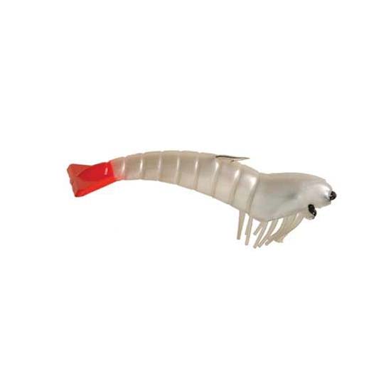 Fresh D.O.A. Shrimp for Cooking - Perfect for Seafood Pasta, Grilling & Sushi Recipes | Premium Quality Shrimp Online