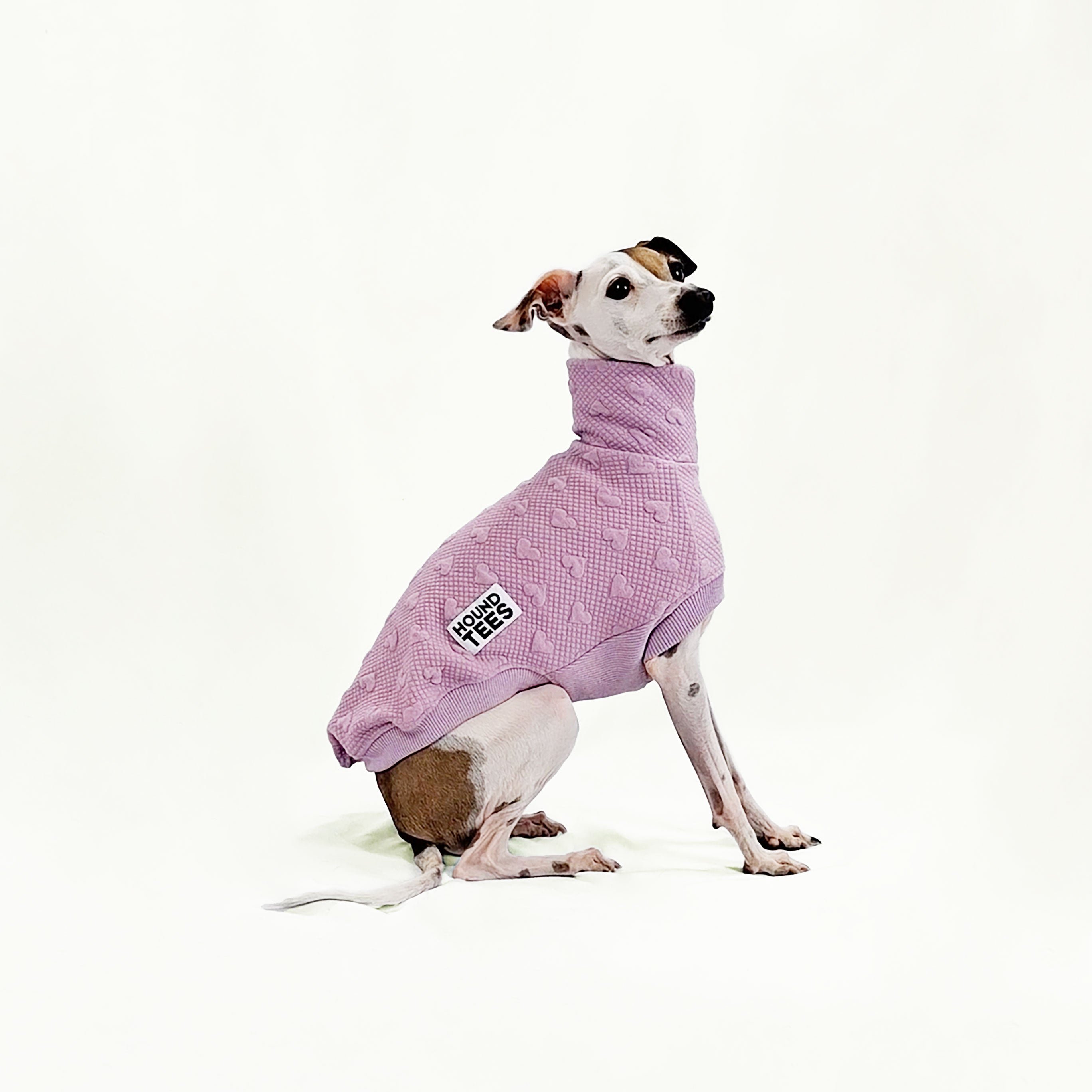 Lilac Love Italian Greyhound Quilted Sleeveless Dog Sweater - Soft & Stylish Pet Apparel for Small Dogs - Perfect for Winter Walks & Indoor Comfort