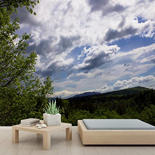 Mountains Sky 3D Wall Murals | PVC Self-Adhesive Peel & Stick Wallpaper | 110