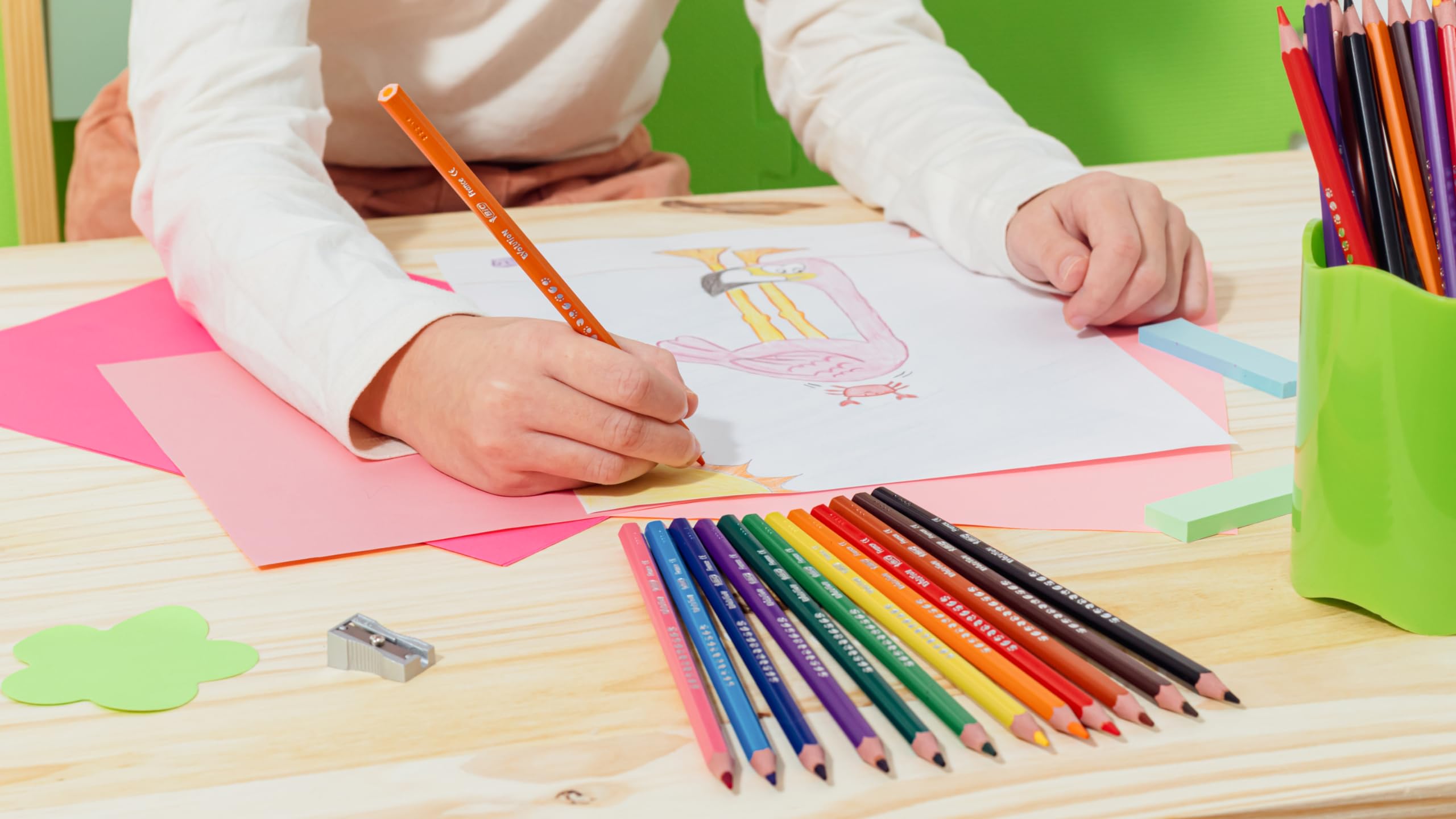 BIC Kids Evolution Colored Pencils - 24 Pack of Vibrant, Durable & Easy-to-Sharpen Coloring Pencils for School, Art Class & Home Use | Perfect for Students, Artists & Creative Projects
