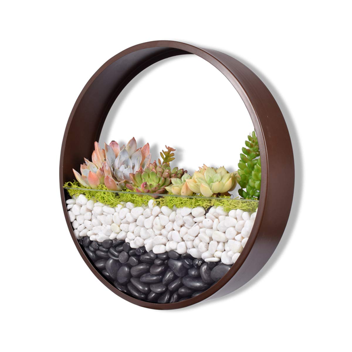 Ecosides 12