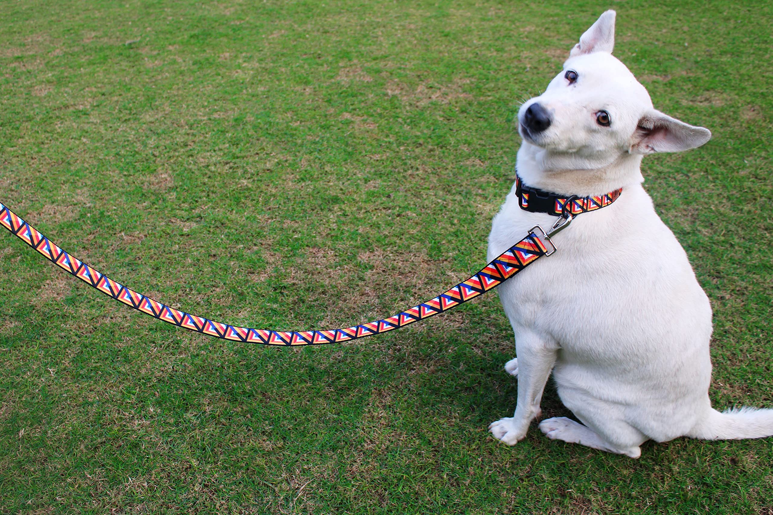 Geometric Retro Adjustable Dog Collar Belt for Medium Dogs - Lana Paws Stylish Pet Accessory for Daily Walks & Outdoor Adventures