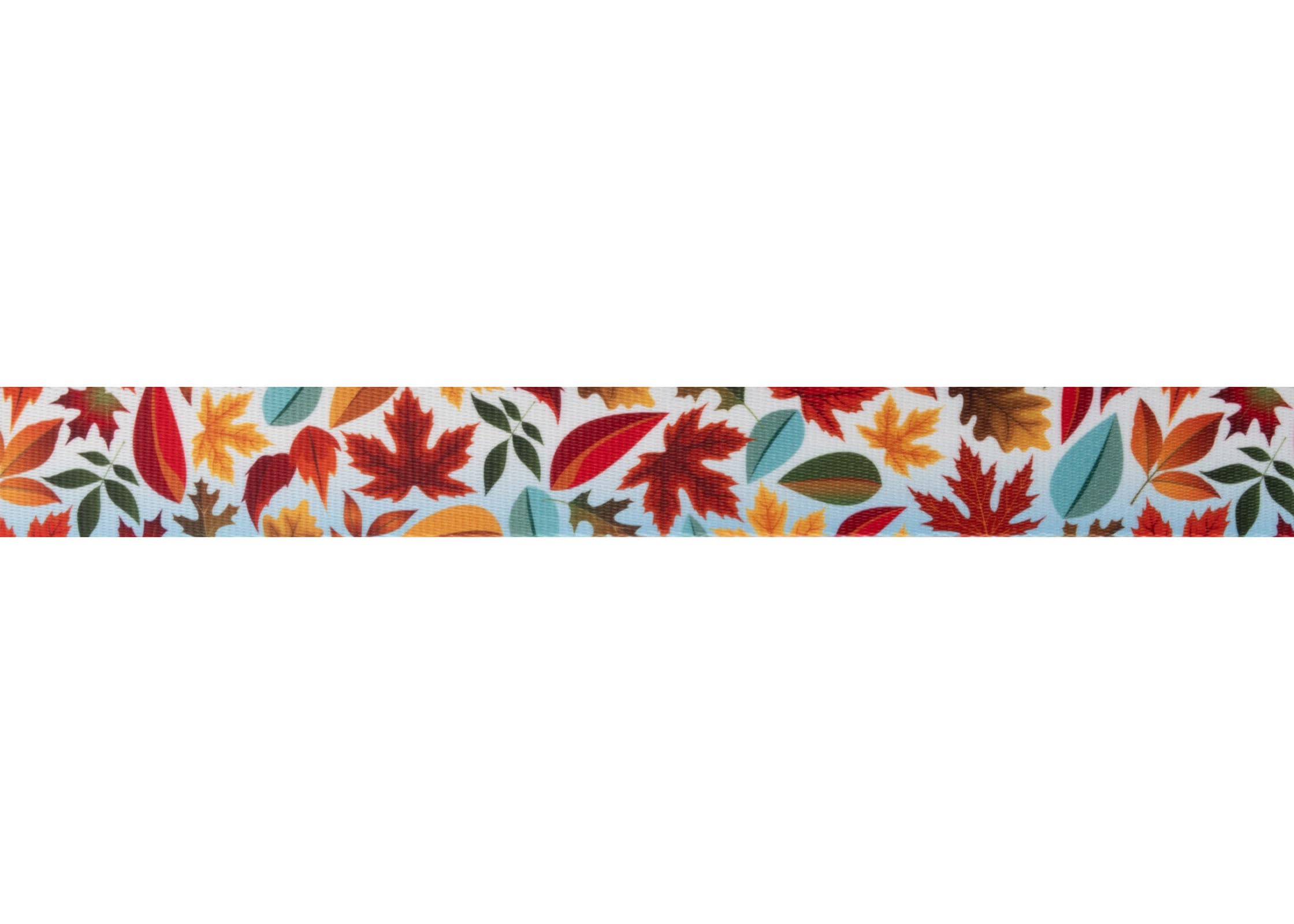 Country Brook Design - Brisk Autumn Polyester Webbing Dog Collar & Leash Set - Durable & Stylish for Small to Medium Dogs - Perfect for Walks, Training & Outdoor Adventures
