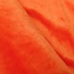 Orange Fur