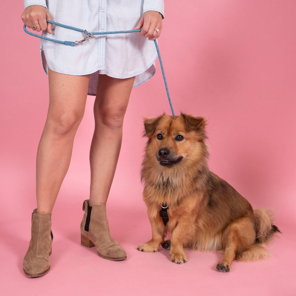 Durable Coupler Dog Leash for Walking 2 Dogs - Adjustable & Tangle-Free Dual Pet Leash for Training, Running, Hiking - Perfect for Outdoor Adventures with Your Pets