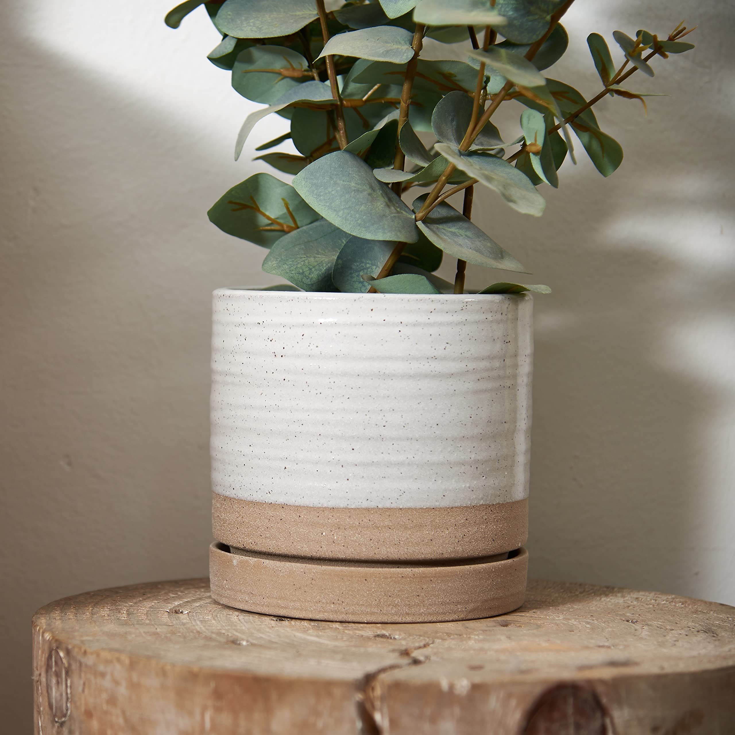 6 Inch Ceramic Plant Pots with Drainage Hole & Saucer - Indoor/Outdoor Cylinder Round Planter for Succulents, Herbs, Flowers - White & Beige Glazed Garden Decor