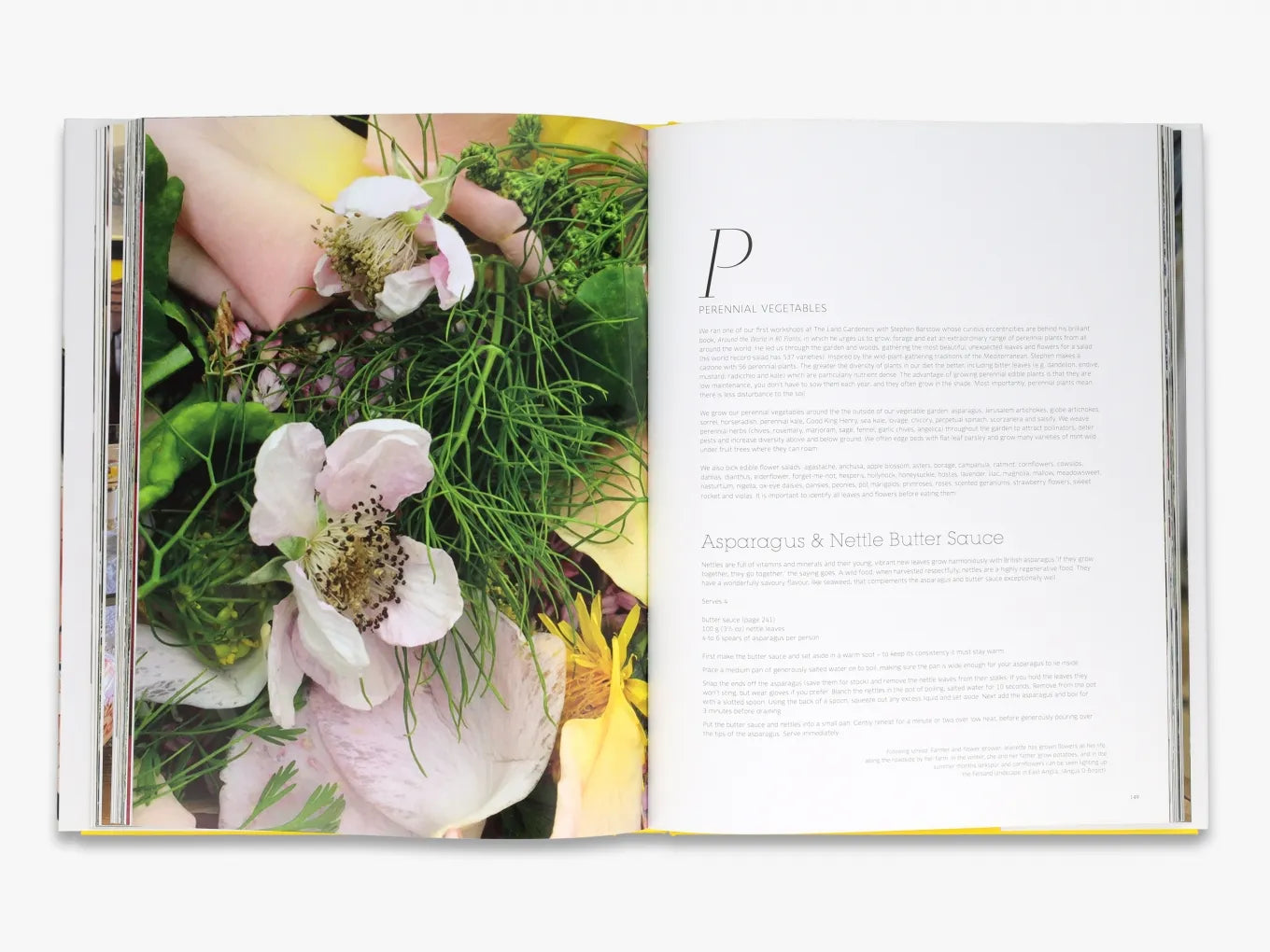 Organic Gardening Essentials | Soil to Table Guide by The Land Gardeners | Perfect for Homegrown Vegetables & Sustainable Farming