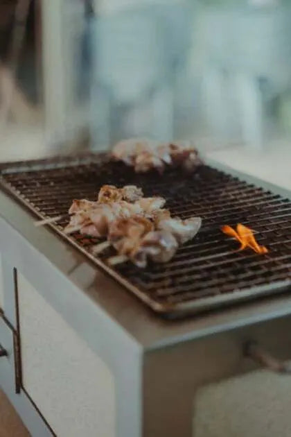Premium Little Kasai Konro Grill V2 - Stainless Steel Frame, Portable Japanese Charcoal BBQ for Outdoor Camping, Picnics & Backyard Gatherings