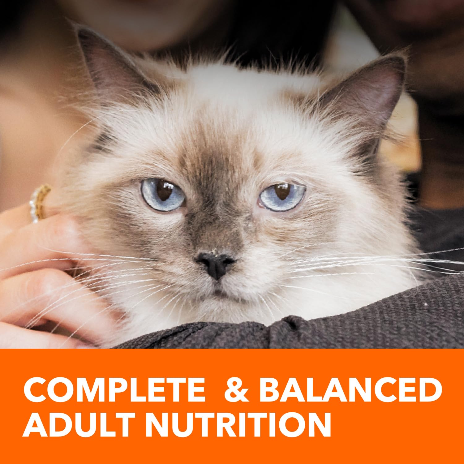 IAMS Proactive Health Healthy Adult Dry Cat Food with Chicken - 7 lb Bag | High Protein Cat Kibble for Indoor & Outdoor Cats | Supports Immune System & Digestive Health