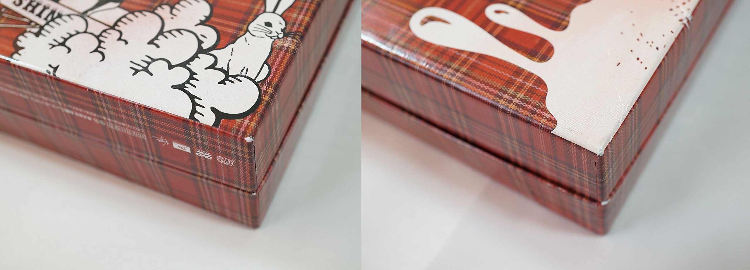 The First Special Box (+DVD) Limited Edition Type A - Perfect for Collectors and Anime Fans