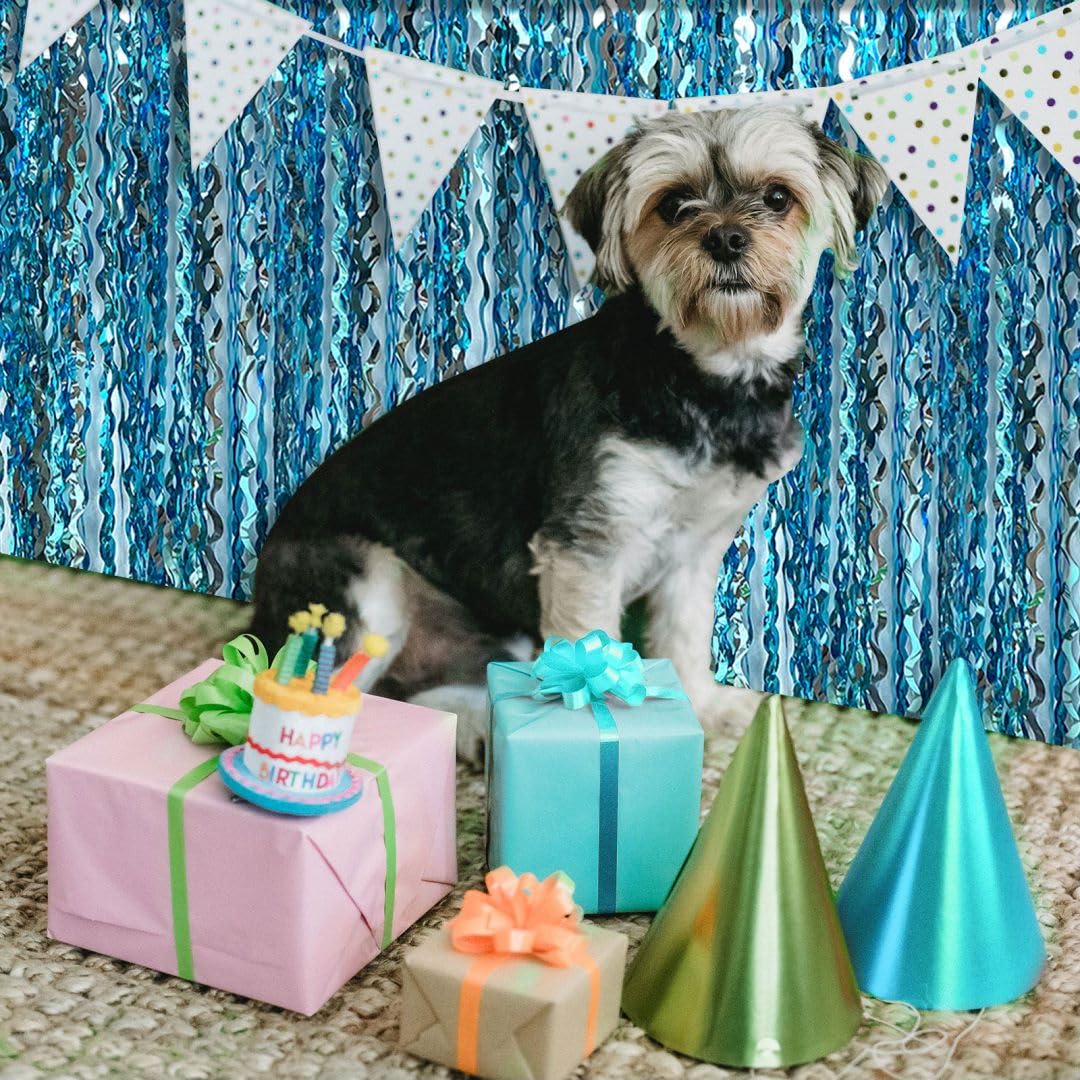 Blue Streamers & Fringe Backdrop - Frozen & Ocean Themed Party Decorations for Birthday, Under The Sea, Pool & Beach Parties - Perfect for Baby Showers, Bridal Showers & Holiday Celebrations