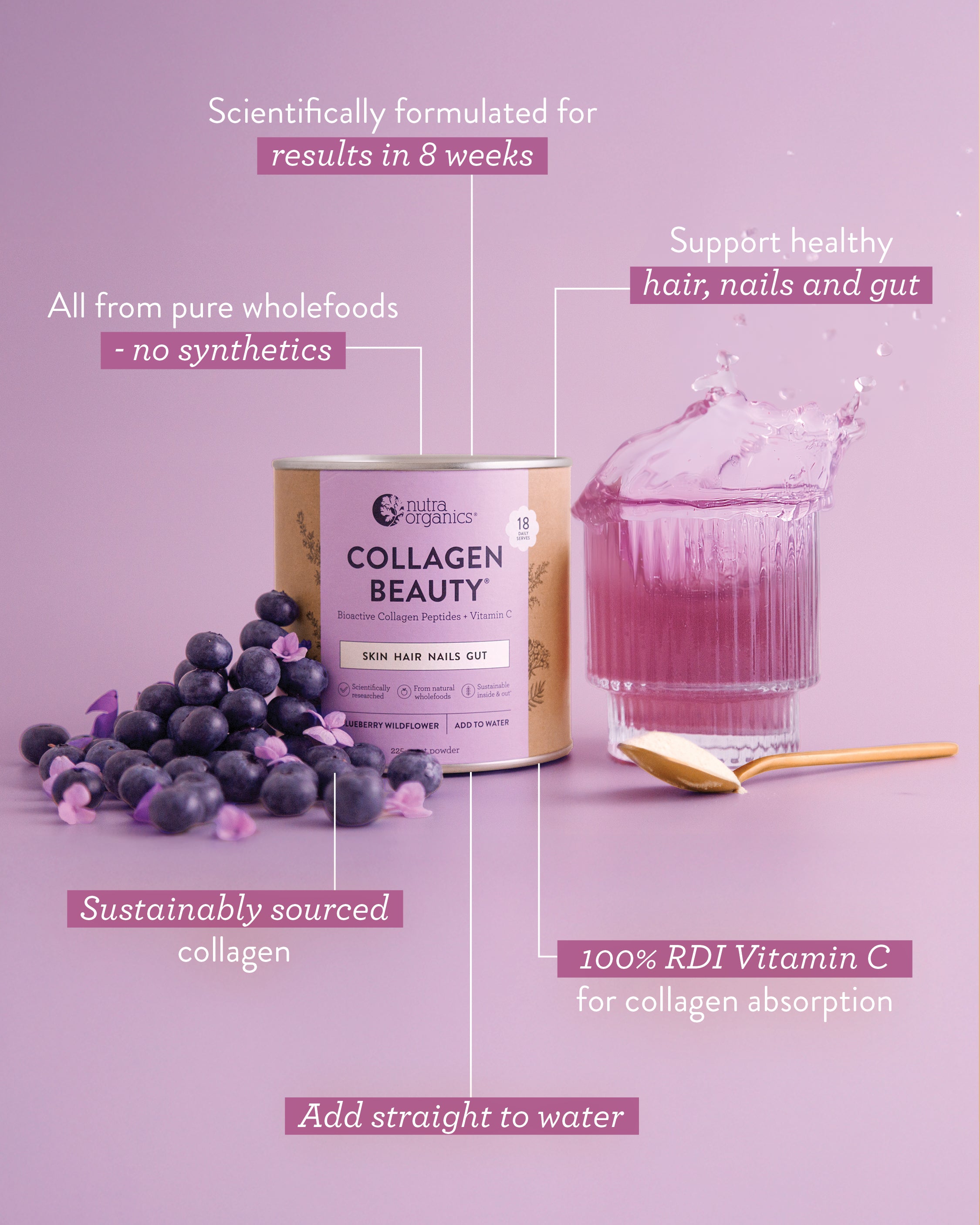 Premium Collagen Beauty Supplement with Blueberry & Wildflower Extract - Boost Skin Health, Hydration & Anti-Aging - Perfect for Daily Wellness & Glowing Skin Routine