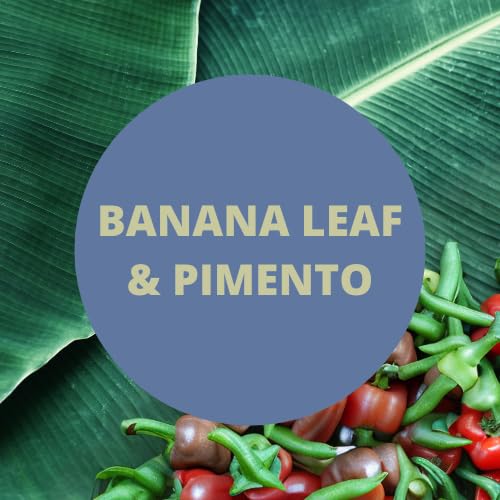 Premium Cobalt Banana Leaf & Pimento Scented Argan Oil Hair Conditioner for Men - 16 Oz | Hydrating & Nourishing Formula for Dry, Damaged Hair | Perfect for Daily Use & Salon-Quality Results at Home